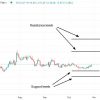 Bitcoin Cash (BCH) Price Estimate December 2024