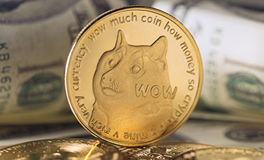 Wow coin