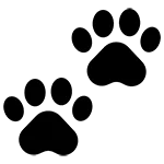 Animal paws